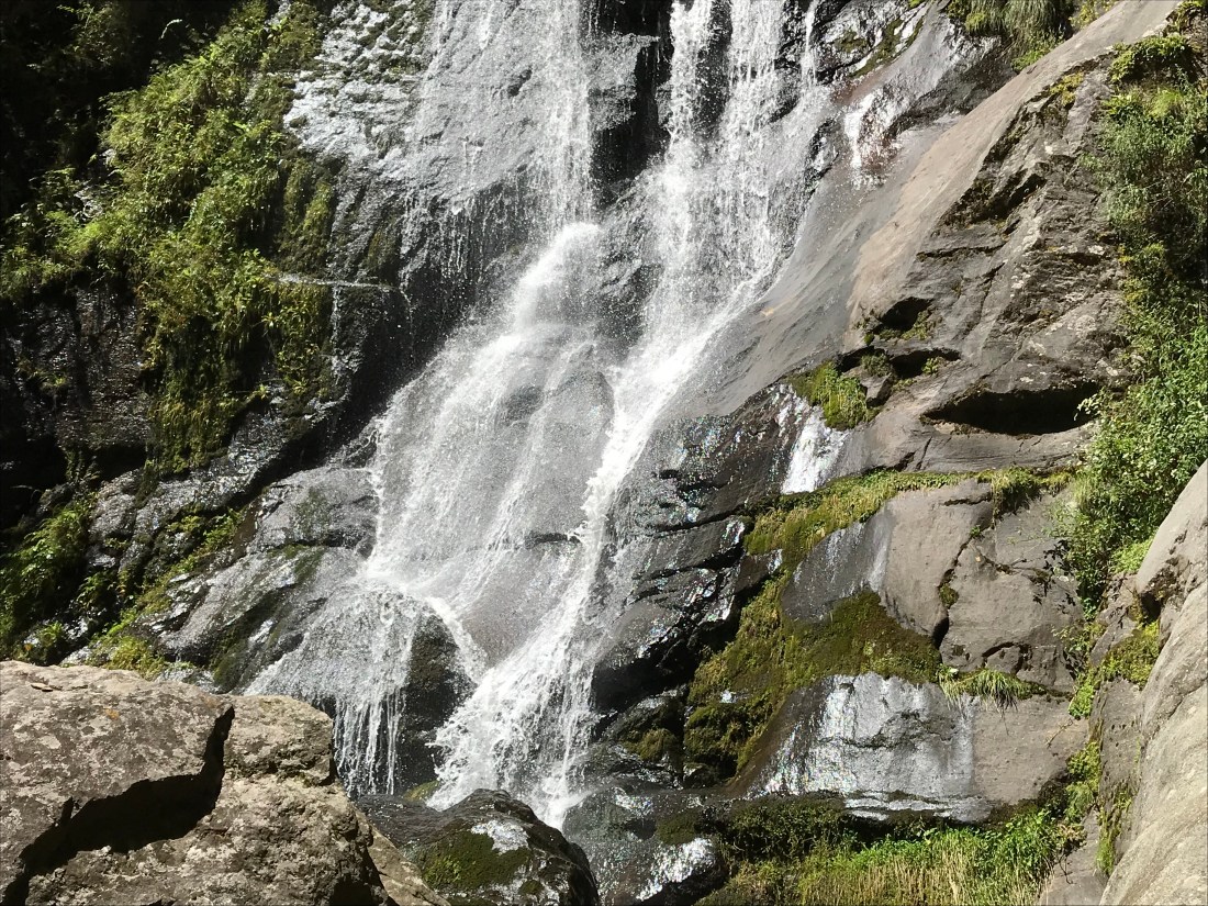 3714E523-D047-456D-958C-9D70993551C5.jpeg